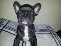 Foto Anúncio